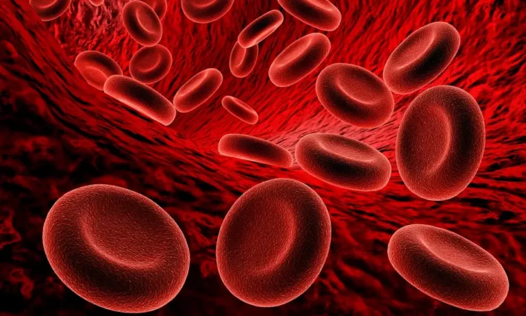 Thrombophilias: Guide to Hereditary and Acquired Conditions
