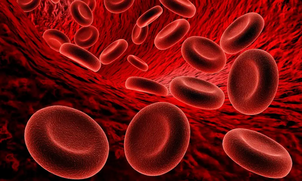Thrombophilias: Guide to Hereditary and Acquired Conditions