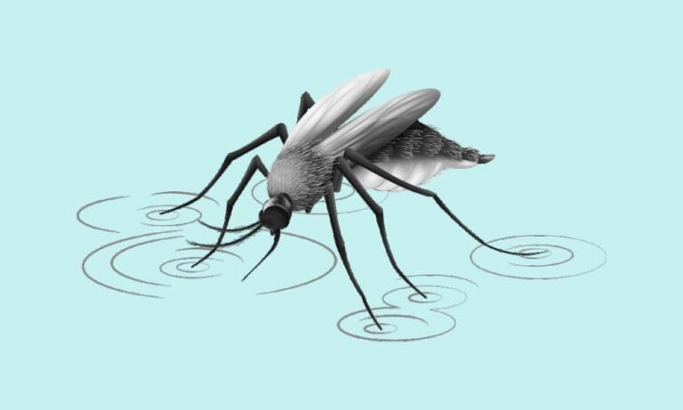Magnitude Of Antibody Cross-Reactivity In Medically Important Mosquito-Borne Flaviviruses: A Systematic Review (Suburban Journal Club)